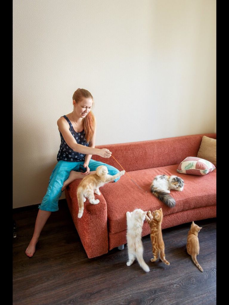 Шотландцы 1.jpg