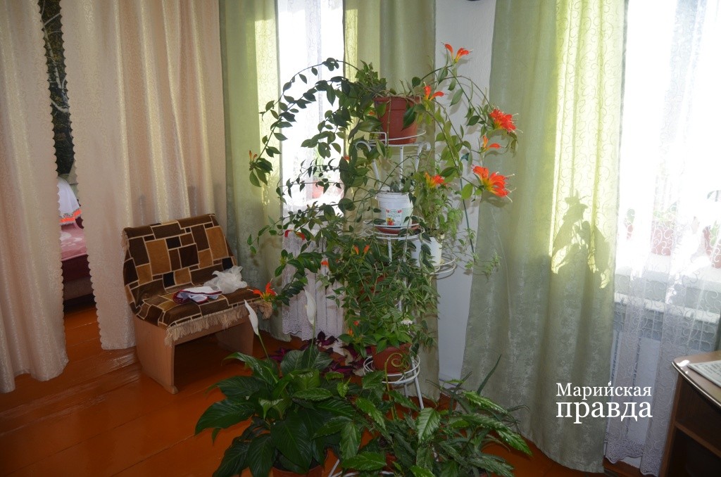 Шабдарова - большая любительница цветов..jpg