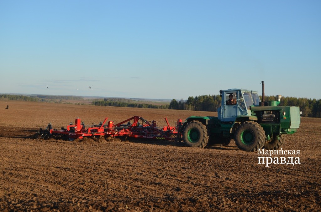 Новый культиватор уже в деле..jpg