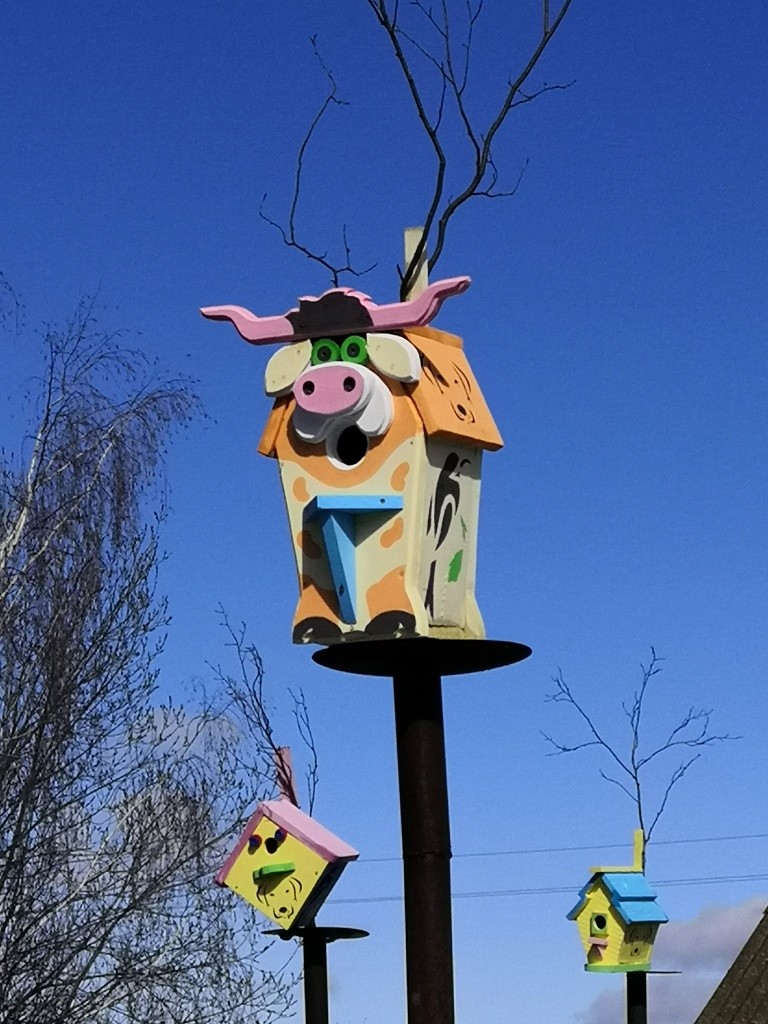 Это домик повышенной метражности с большим летком - для крупногабаритных птиц.jpg