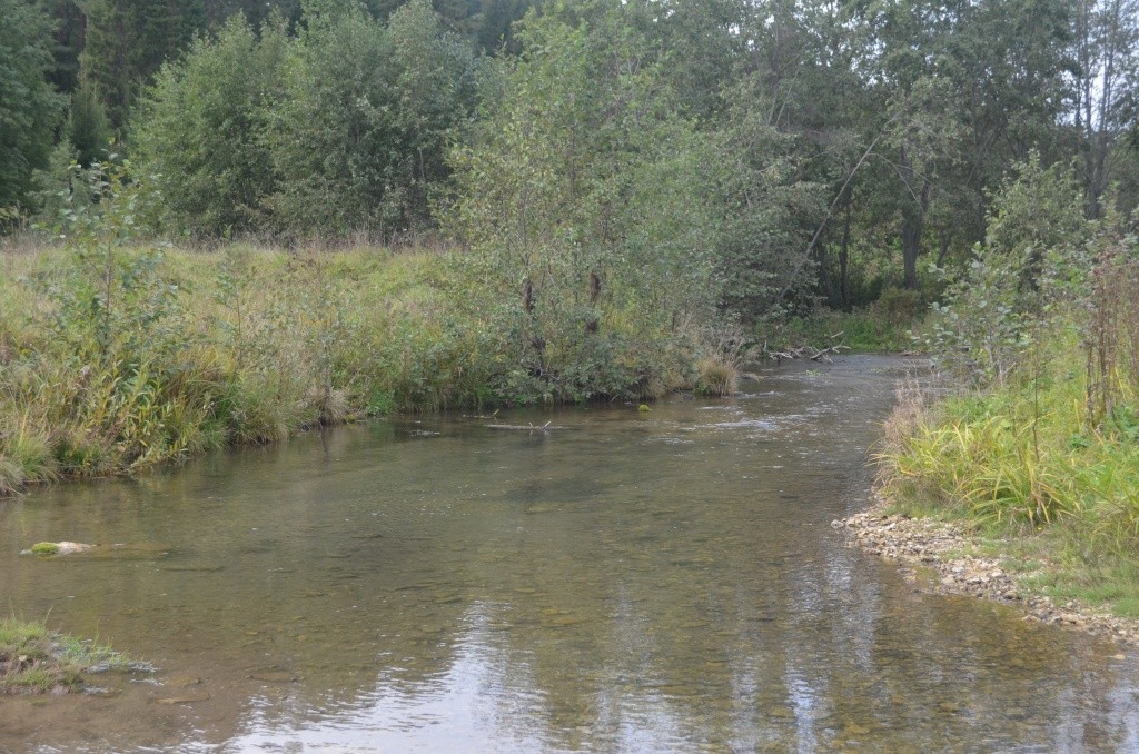 Когда-то только в окрестностях Купсолы на Нольке стояли четыре водяных мельницы.JPG