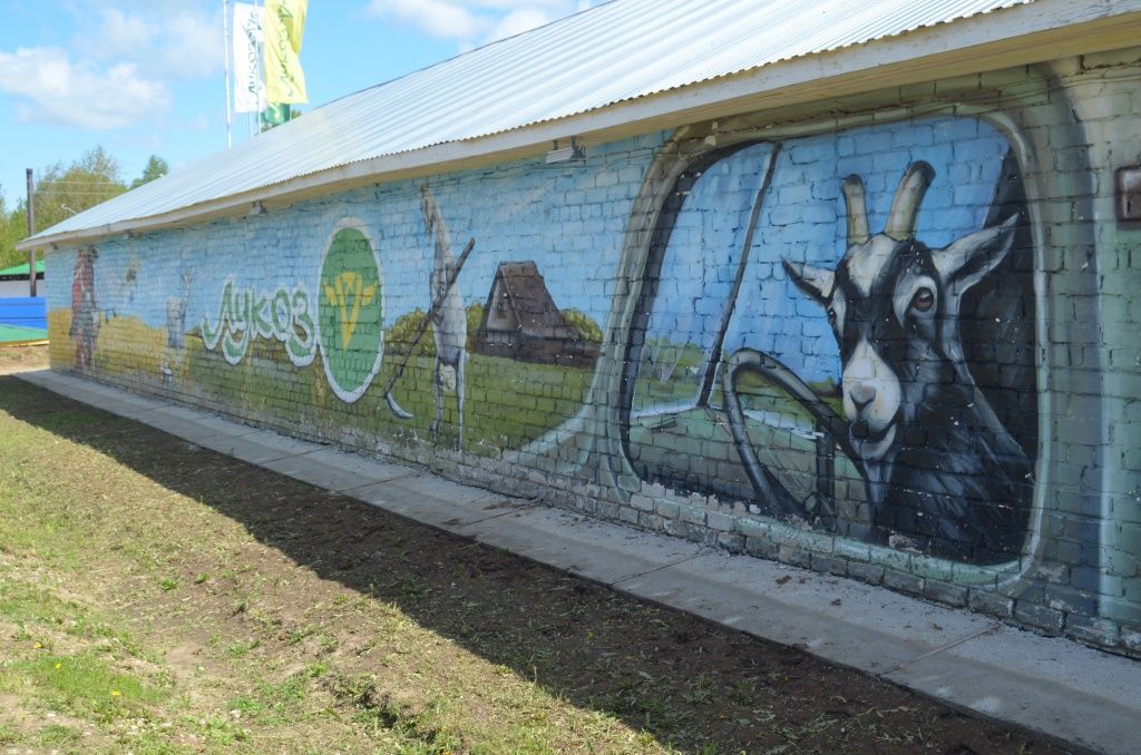 А как вам такое граффити.JPG