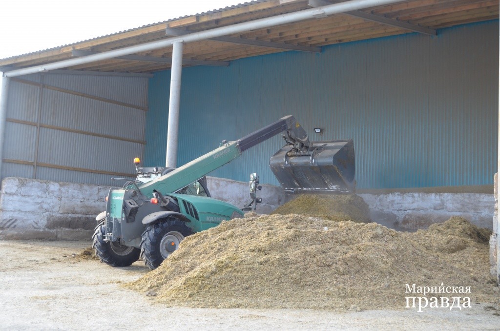 Работяга-погрузчик готовит сенаж.jpg