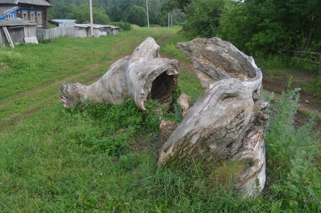 Тут начинается улица Тореш урем.JPG