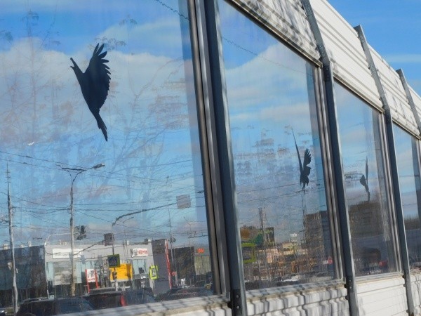 pFT4GpLZqgU (1).jpg pFT4GpLZqgU (1).jpg