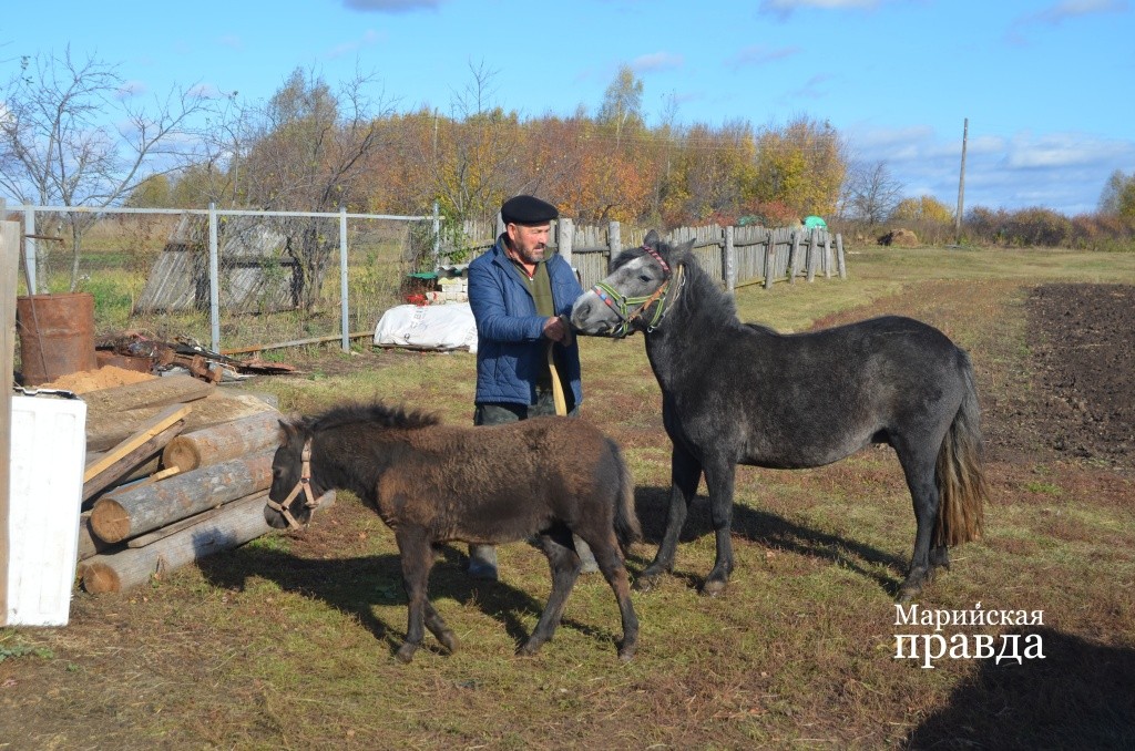 Жаклин нынче впервые стала мамой..jpg
