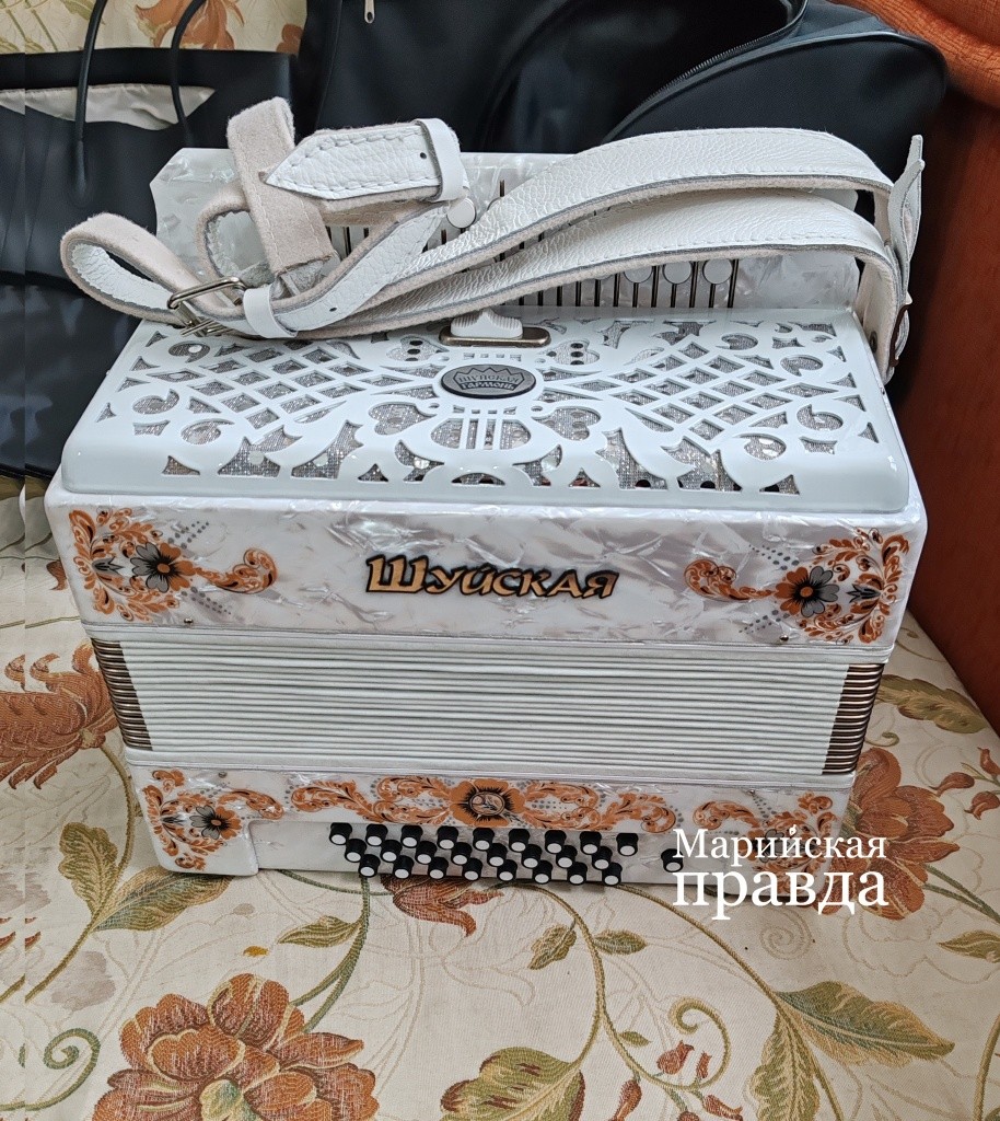 Полученный грант почти полностью ушел на покупку вот этой замечательной гармони 1.jpg