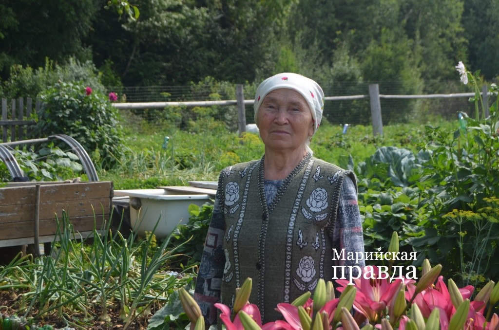 Огород у старушки в идеальном порядке 1.jpg