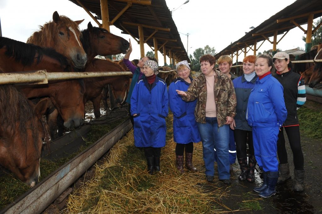 На базе кумысной фермы сегодня создан туристический комплекс. (фото предоставлено ЗАО ПЗ "Семеновский").
