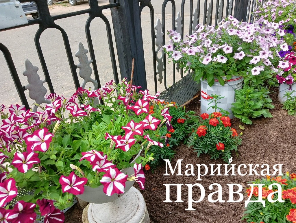 IMG20230710144711 (2).jpg