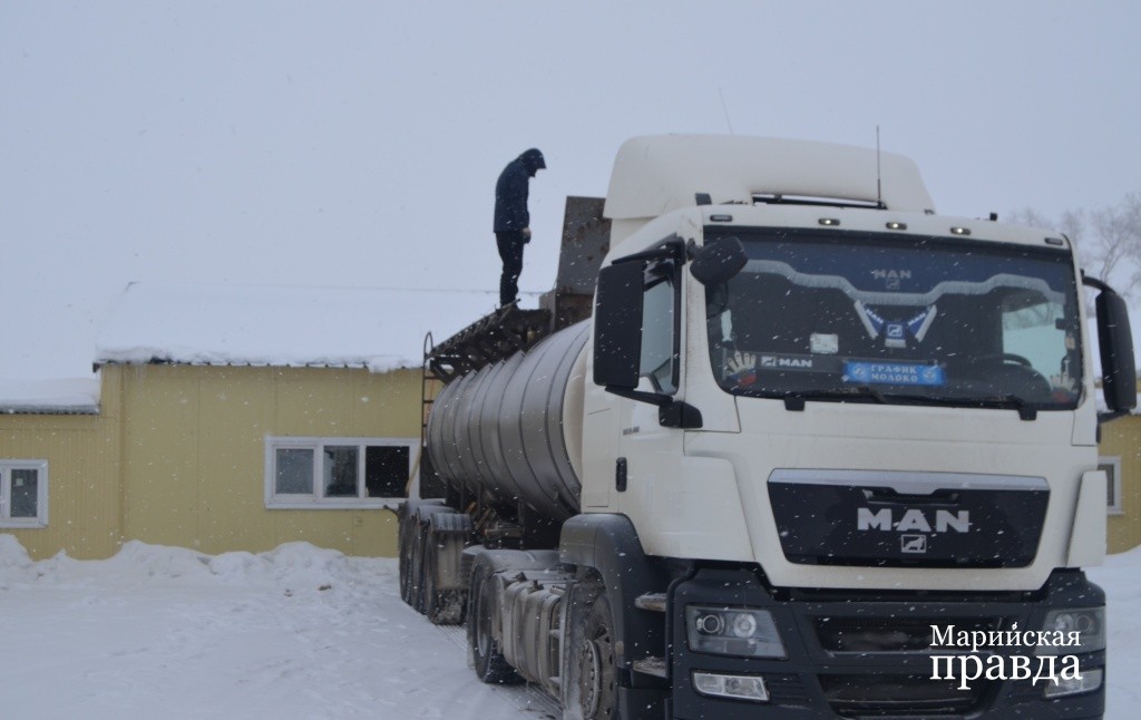 Продукцию ежедневно вывозит огромный молоковоз (2).jpg