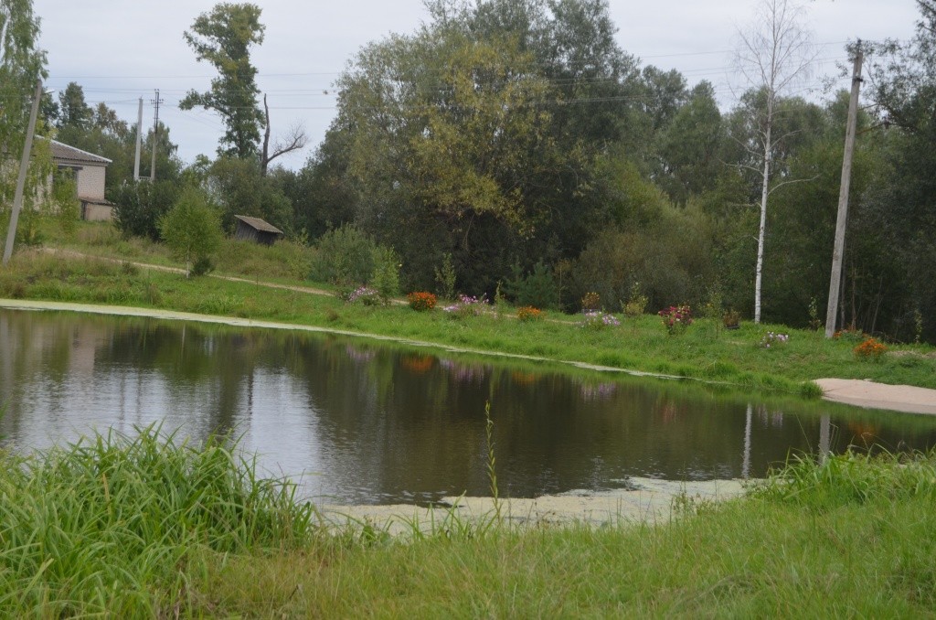 Водоем в цветочной оправе.JPG