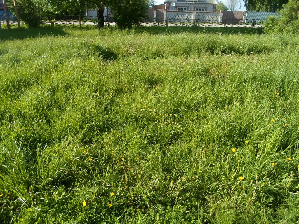 Фото до строительства д. Ниж. Азьял.JPG