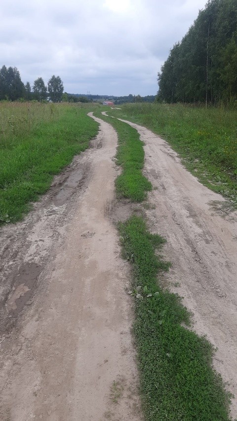 д. Пинжан кукмор Дорога.jpg