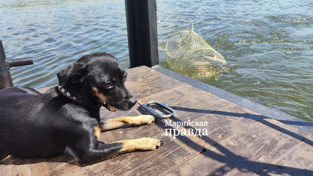 photo_2024-08-07_10-17-37 (1).jpg