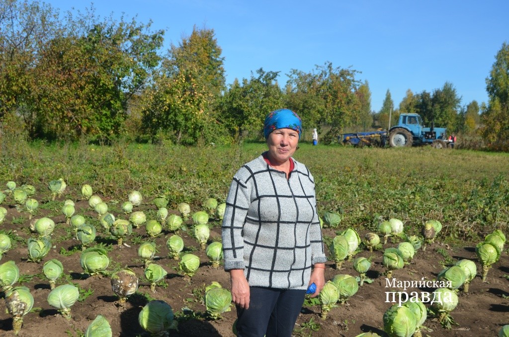 Заведующая пришкольным участком Маргарита Савельева. Заведующая пришкольным участком Маргарита Савельева 1.jpg
