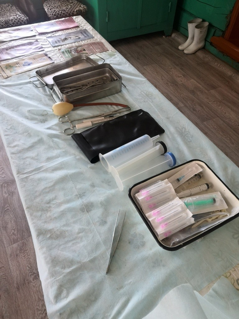 Стерильный инструмент у ветфельдшера всегда наготове.jpg