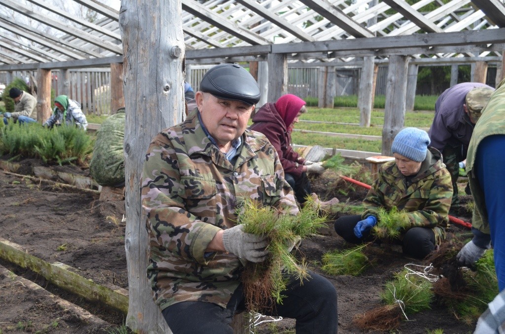 Максим Веткин организует земляков на выкопку посадочного материала.jpg