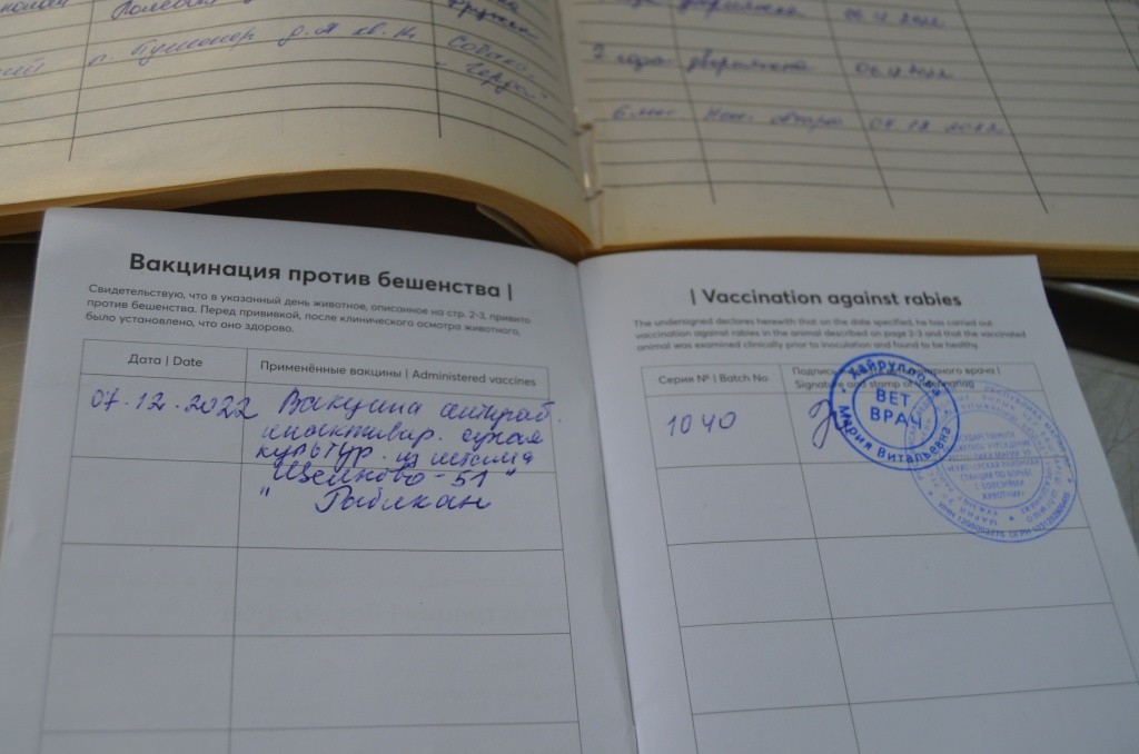 В паспорте животного обязательно делается отметка о привике от бешенства.JPG