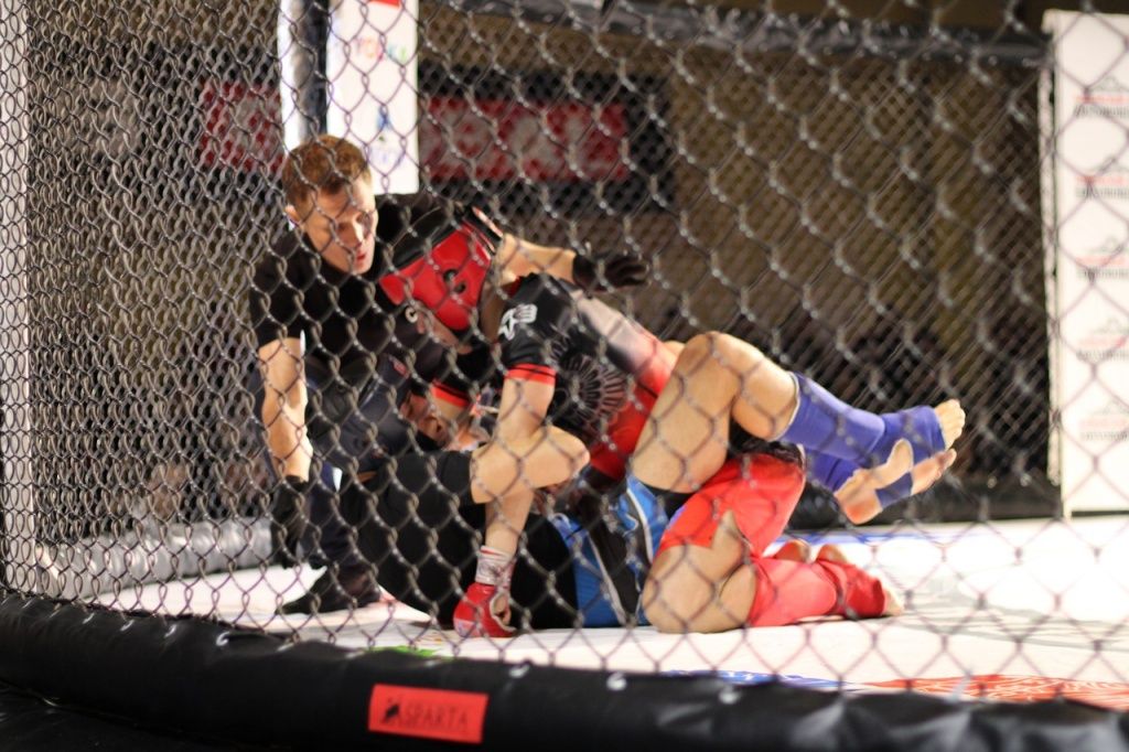 бои белых.jpg