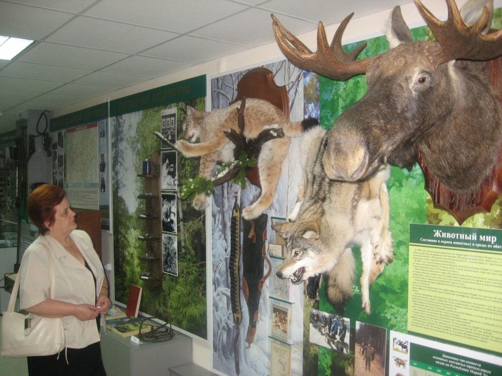 Музей леса 025.jpg