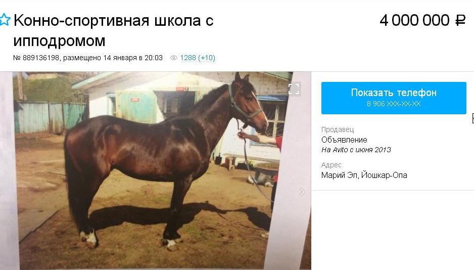 авито11.JPG