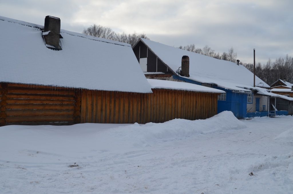 Люди в Бирюках живут в скромных, но крепких домах.JPG