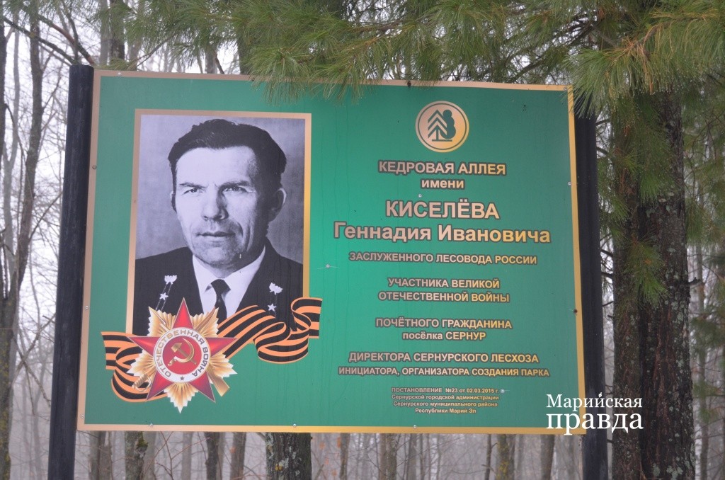Кедровой аллее присвоено имя основателя парка Геннадия Киселева..jpg