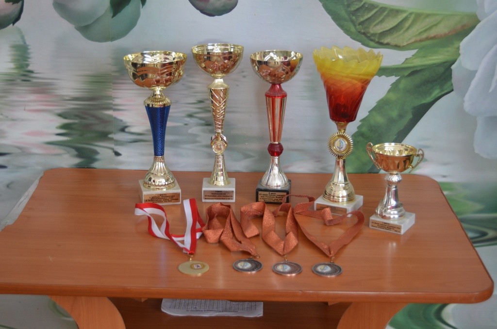 Семейные награды, заработаннные на сельских играх.JPG