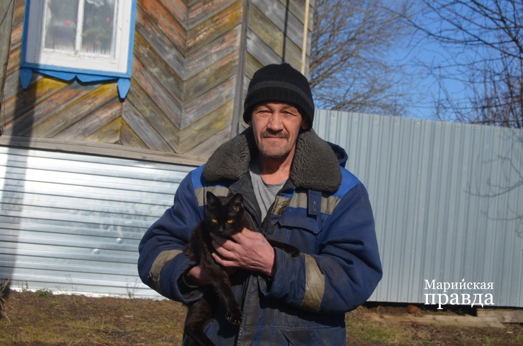 У соседа Романа Айдара рыси стащили уже двух кошек..jpg