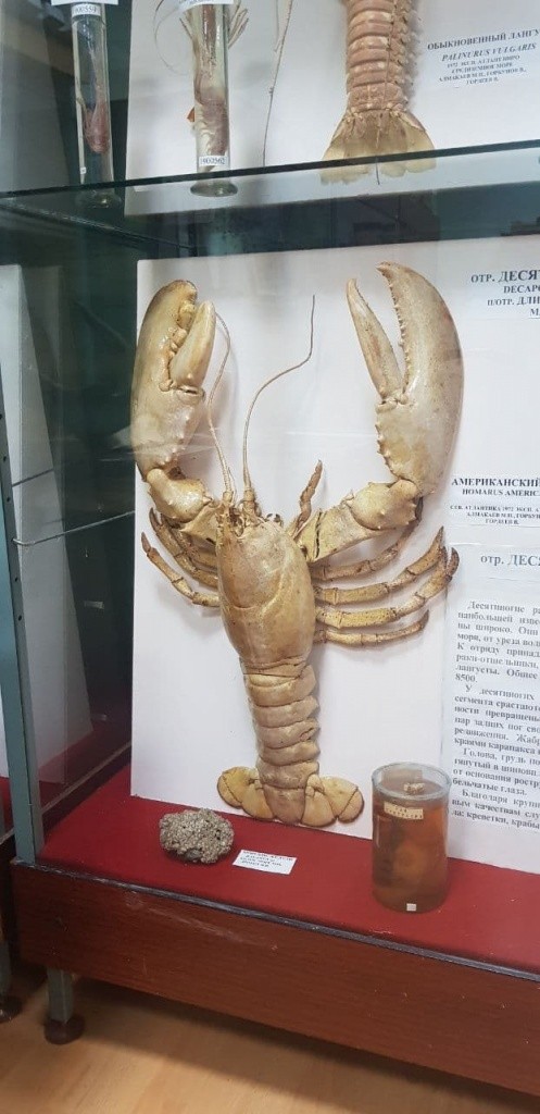 photo_2021-12-08_12-47-00 (2).jpg