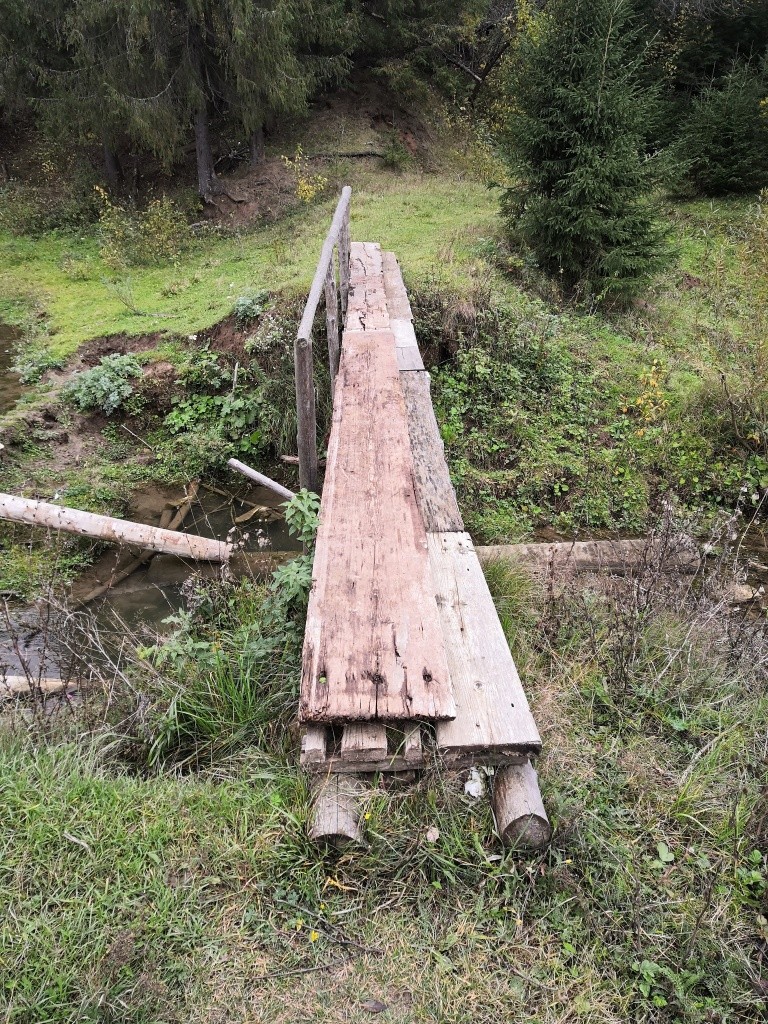 Только вот этот самодельный пешеходный мостик связывает сейчас улицу Зеленую с большой Ирмарью.jpg