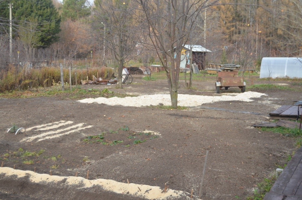 Для улучшения структры почвы садовод активно использует опил.jpg