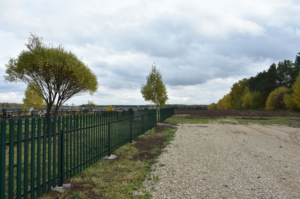 DSC_4562.JPG