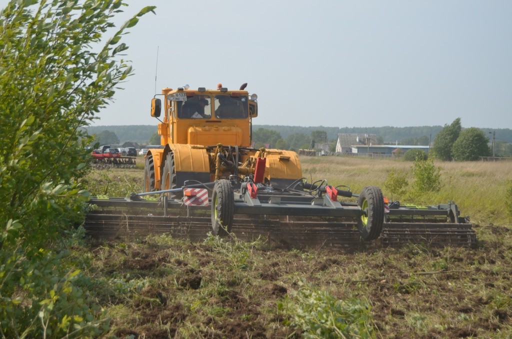 Вот все, что остается от кустарника после прохода трактора.JPG