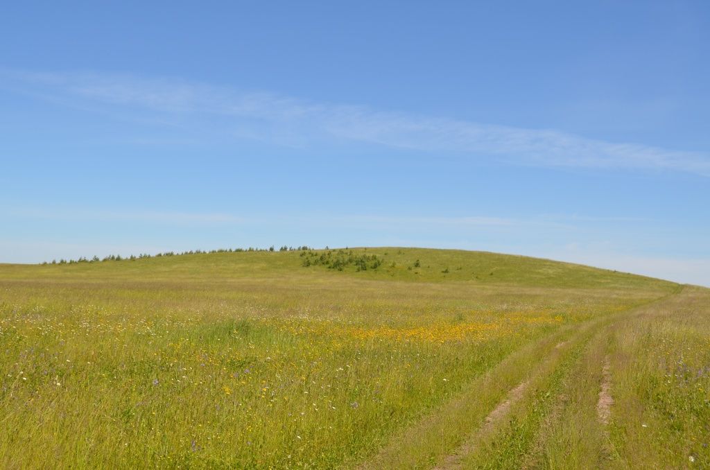 Вот он шудумарский холм Онара.JPG