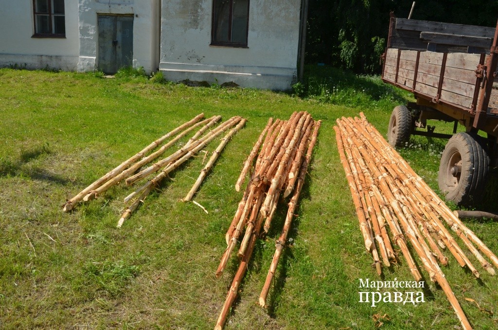 Первый этап работы позади - жерди на прожилины для забора ошкурены. Первый этап работы позади - жерди на прожилины для забора ошкурены 1.jpg