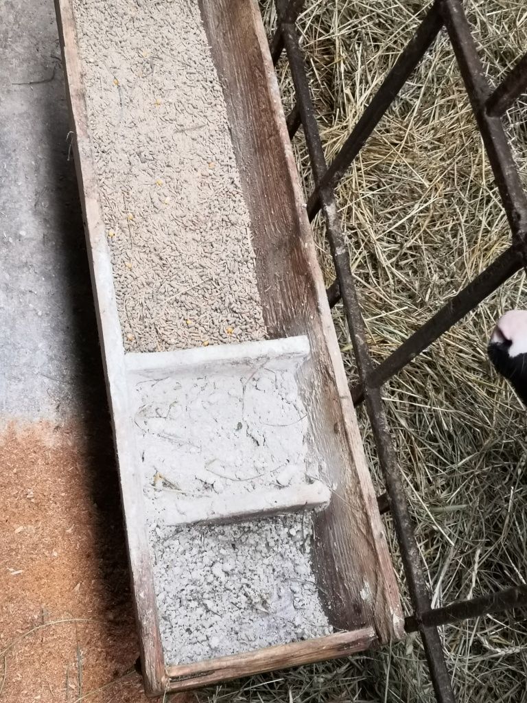 Шведский стол для теляток зерносмесь, соль, мел.jpg