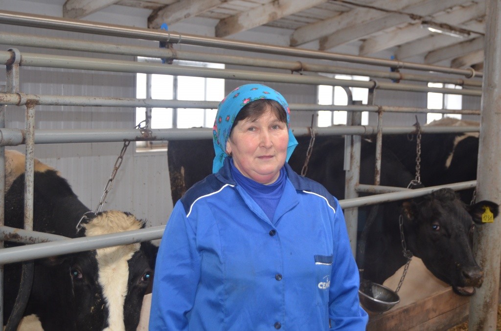 Роза Мустаева трудится дояркой уже более 30 лет. Роза Мустаева трудится дояркой уже более 30 лет.jpg