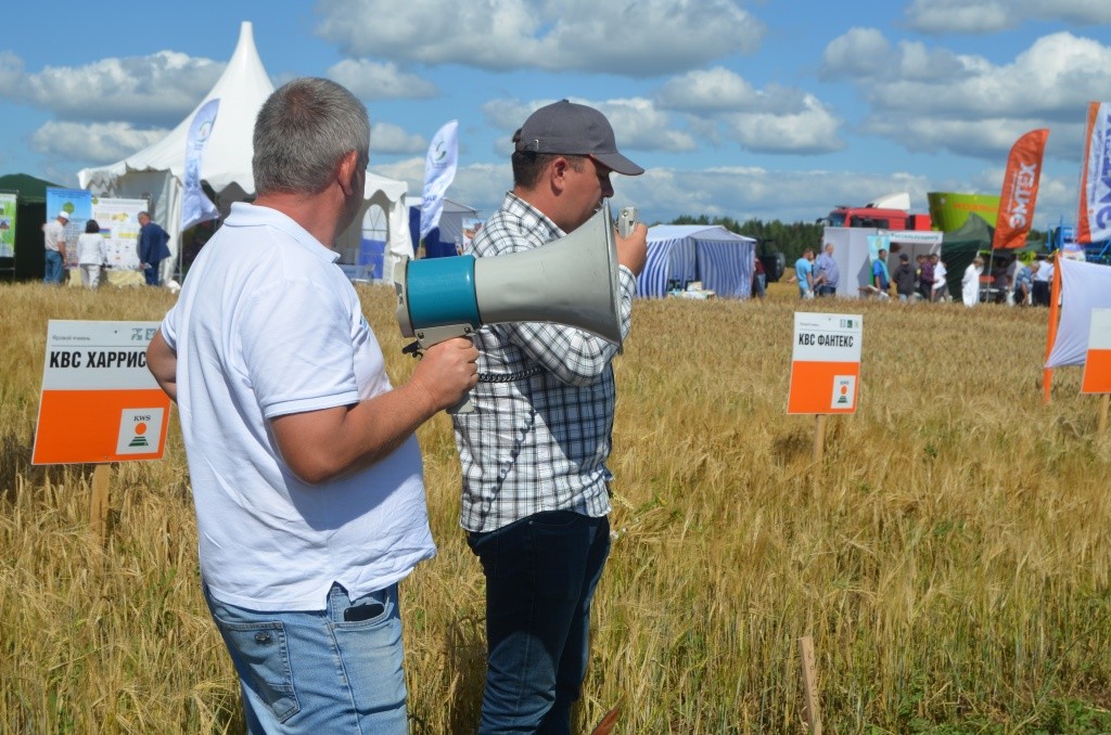 Обзор новых перспективных сортов.JPG