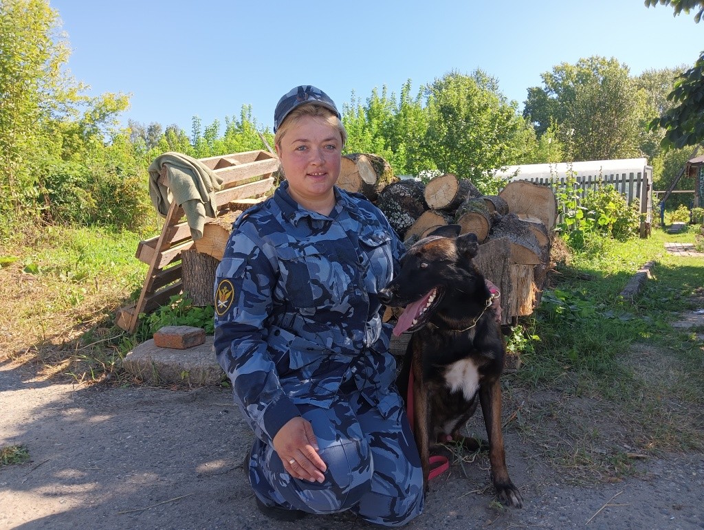 День Фронтовой собаки.