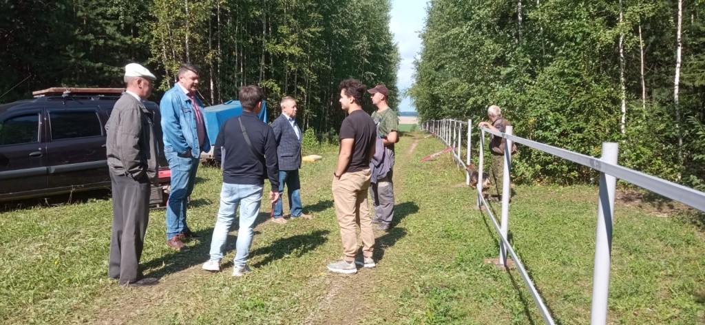 В процессе.jpg