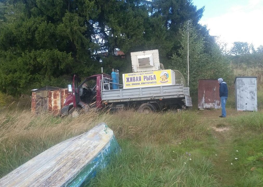 Живая рыба.jpg