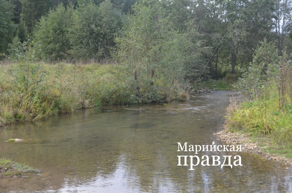 Когда-то только в окрестностях Купсолы на Нольке стояли четыре водяных мельницы 1.jpg