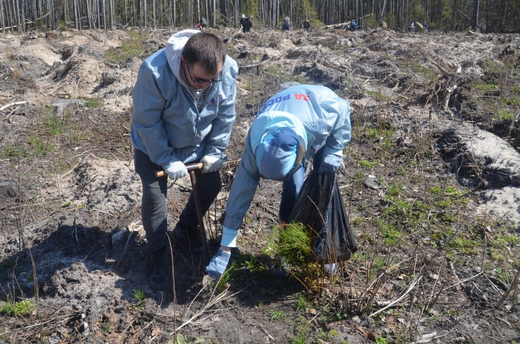 Копальщики работают попарно.JPG
