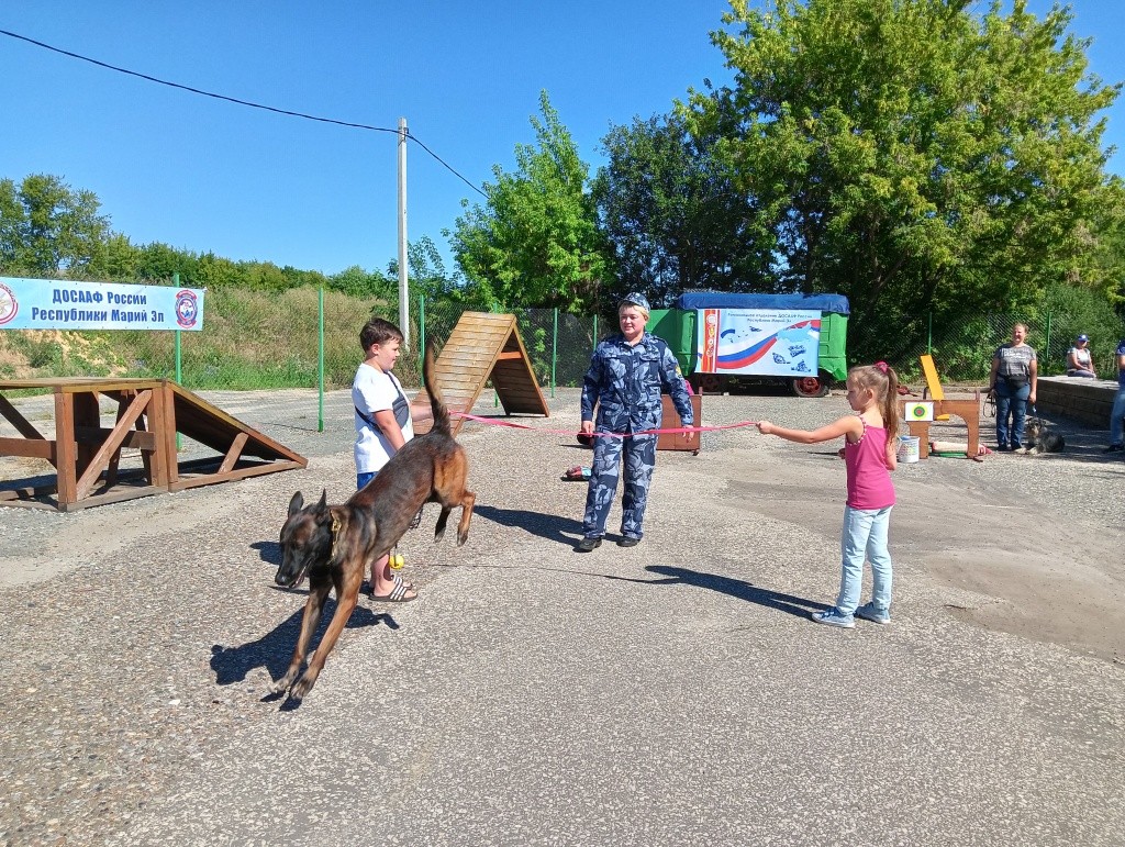 День Фронтовой собаки.