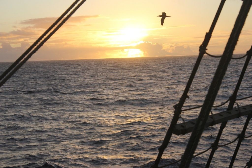 В ТИХОМ НА РАССВЕТЕ.JPG