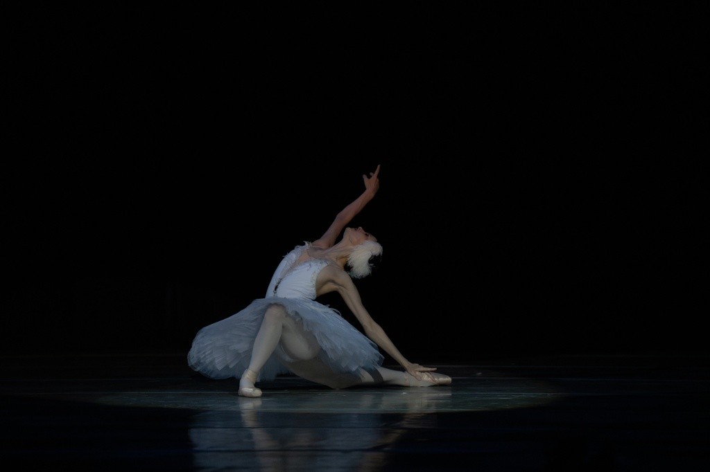 Несравненная Оксана Скорик в образе умирающего лебедя..jpg