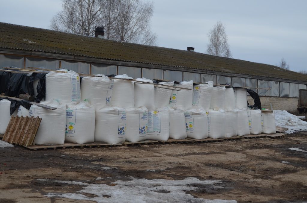 В пустую землю верхушнурцы не сеют.JPG