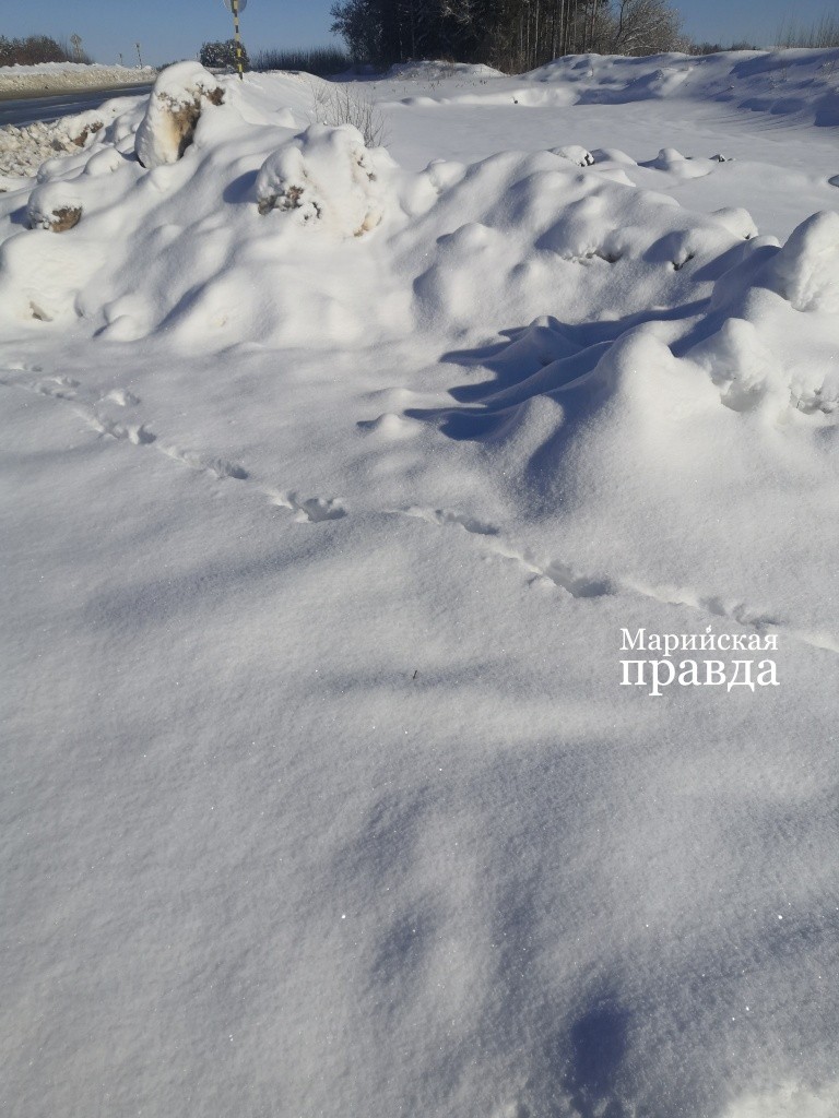 Теперь уже и не догадаешься, что на этом пятачке стоял въездной знак..jpg